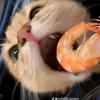 iluv_shrimp