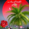 user1910507961168