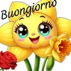 dolcemamy