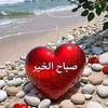 user9029679577711