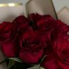 farah27955