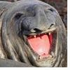 manje_clean_boys