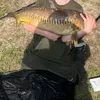 george.cheeseman8