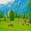 tariq_kumrat_valley