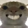 ancutnh