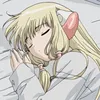 ちまことり