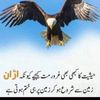 abbas.lucky5