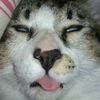 whatyourmean_
