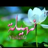 nouhayla.noha93