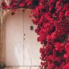 salma.abdallah52