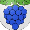aniss6360