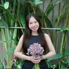 Đoàn Diệp Hà Dược Liệu 2