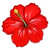 user13881112155154