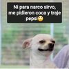 marcelo.rodriguez047