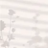 crazyc733