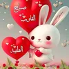 warda_ward3333