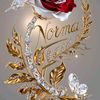 norma.maria.gonza