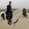 ibrahim.al.bashmhi