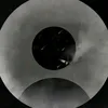sy.zezinho