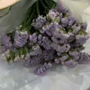 purple33e