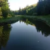 ionut.hotea4