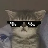 maloxtu