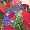 mirjana.vasic8