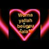 mamourdrame492