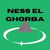 nesselghorba_1