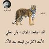 user254223999132