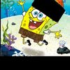 muhammadridwan7967