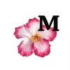 gtkk.mariam