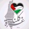 ahmedsayed16504