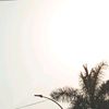 dew.xzy