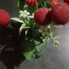 parag596