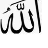 user4477092339811