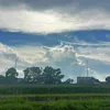 nguyenminhduc20th8