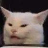 zenlakyt