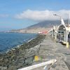 will.newchimbote69