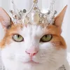 Funny 🐈