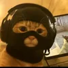 fvzz_cat