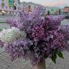vnixxasw_247
