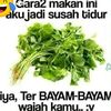 anik.fauzi