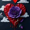 user9776795822005