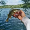 rys_fishing12