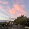 bellecuhau3