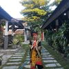 pandiii.euyy