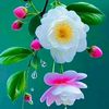.hameed.gull5
