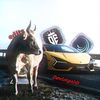 car.edit_13_5