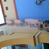 begoa.toral.navar